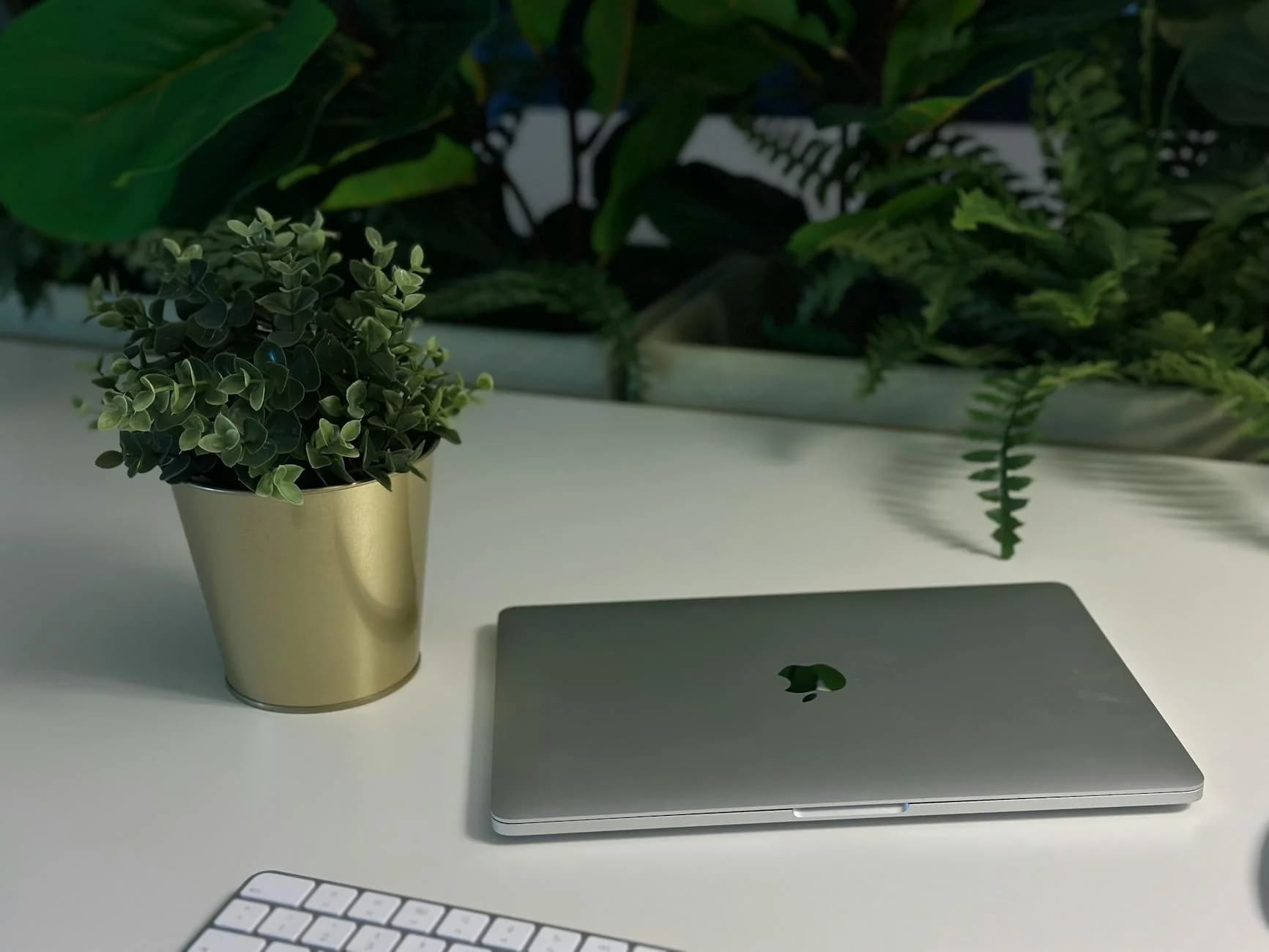 Ein sauberer und moderner Arbeitsplatz mit Laptop, Tastatur und Topfpflanze auf einem weißen Schreibtisch mit grünem Laub.